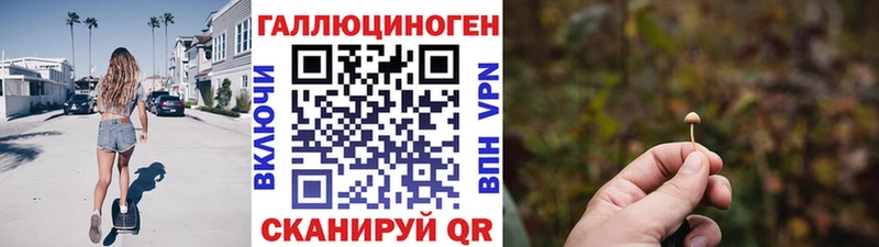Галлюциногенные грибы Cubensis  Тейково 