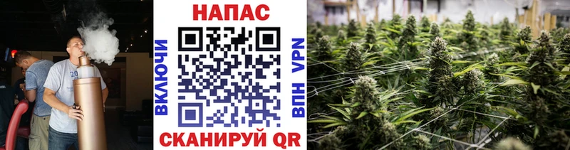 купить   hydra онион  Канабис планчик  Тейково 